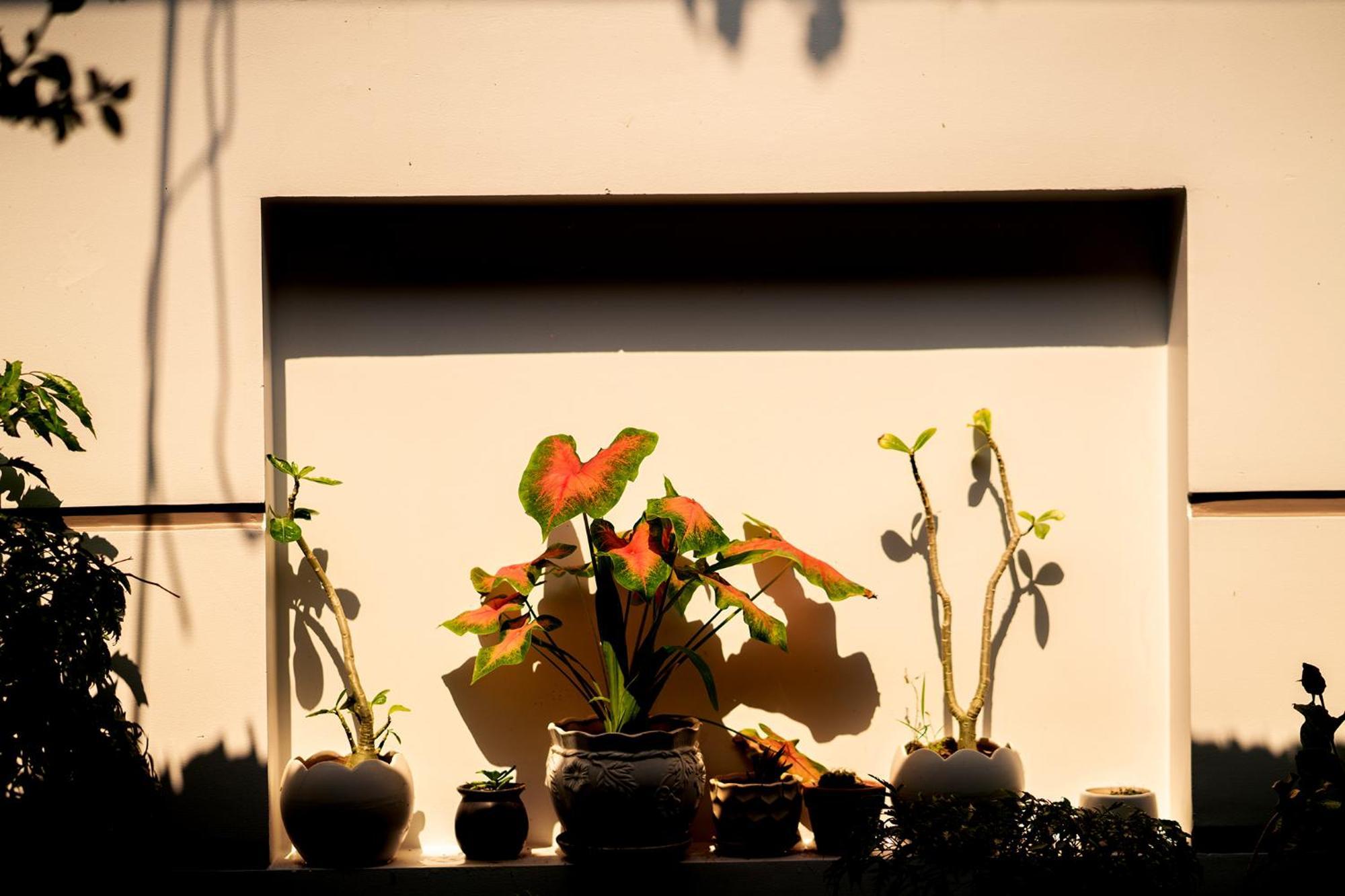 Hoi An Garden Sea Homestay Zewnętrze zdjęcie